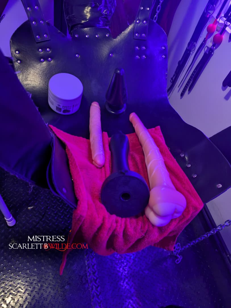 A collection of large anal toys rests on a hanging leather sex sling in Mistress B Wilde's kink dungeon. There's also some fisting cream.