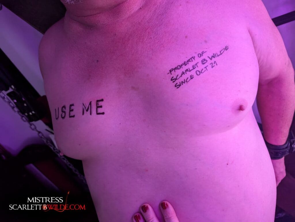 Slave stands against a St Andrews Cross. Chest exposed. Written words on his chest. " Use Me" and "Property of Scarlett B Wilde since 2021".
