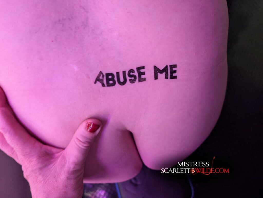POV of Slave's arse. Written words marked about his crack. " Abuse Me". Mistress B Wilde has her hand ready to penetrate.
