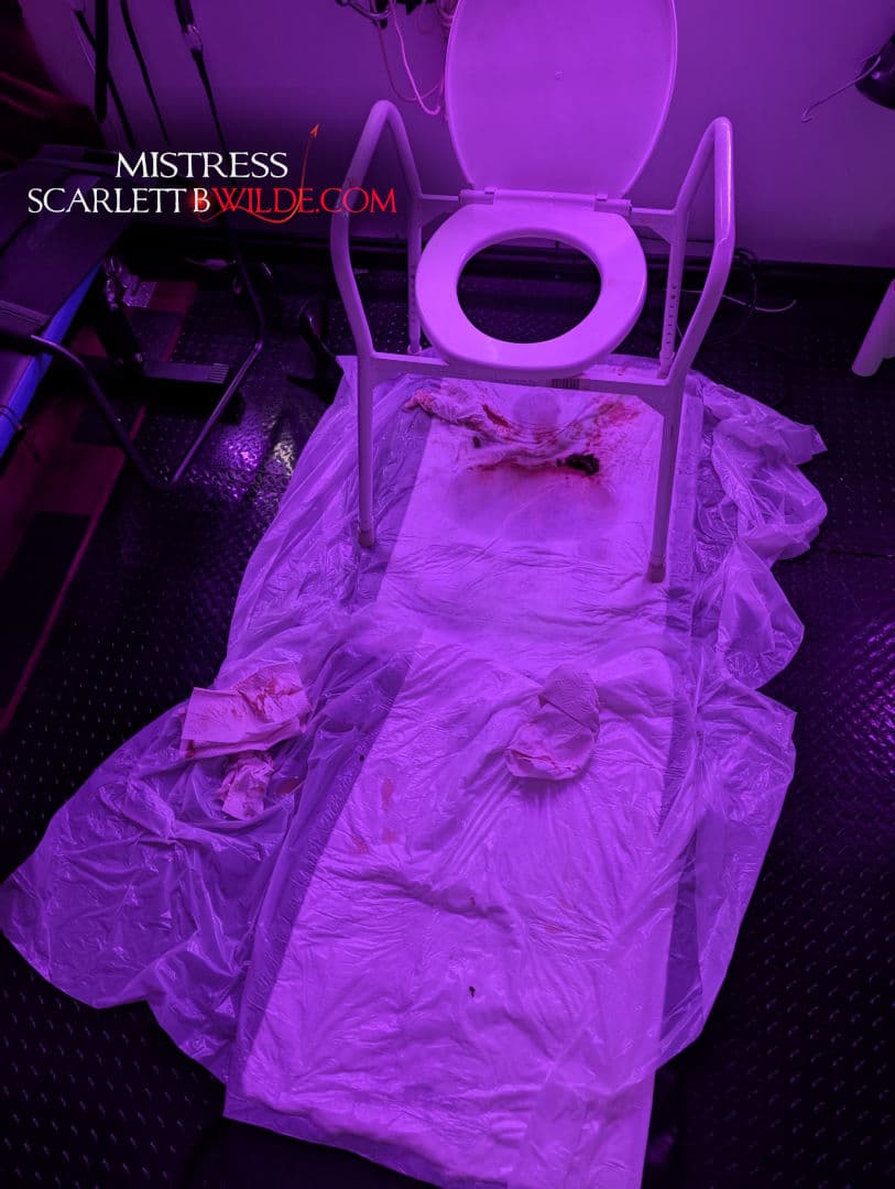 On the dungeon floor lie used toilet pads. Faeces lies under a toilet seat with evidence of someone lying under the seat been used as toilet.