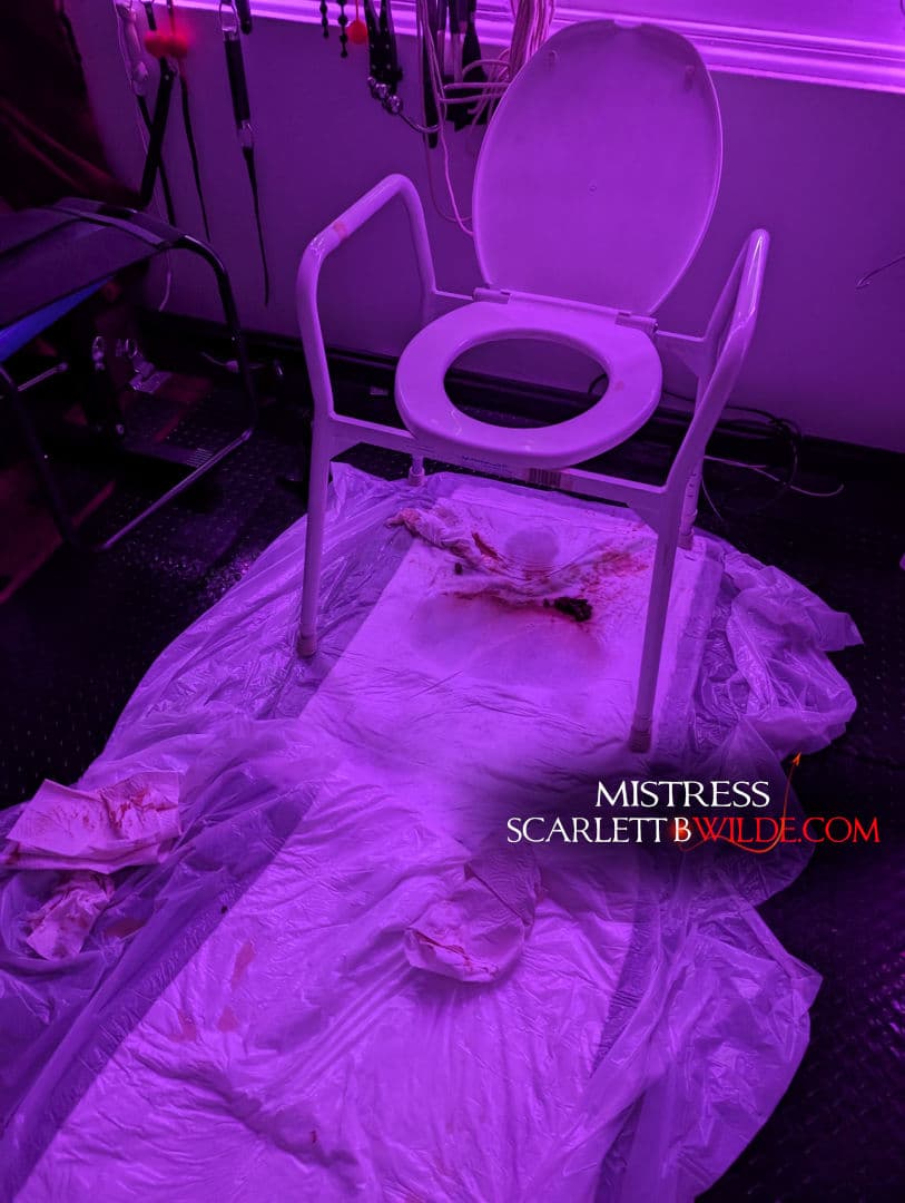 Laid out on the dungeon floor are two used toilet pads with a toilet seat at one end. Faeces lies under the toilet seat and evidence of someone lying under the seat exists.